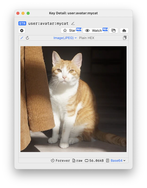 /images/all-screenshots/Screenshot 2024-02-29 at 19.28.49.png