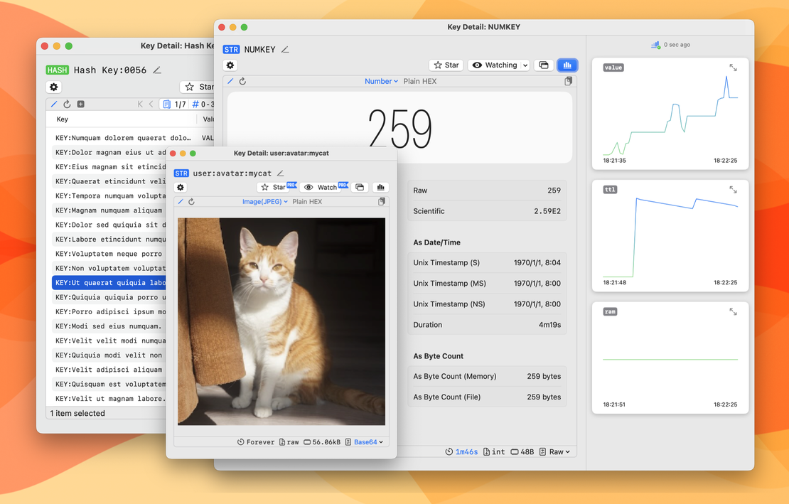 Advanced Value Inspector